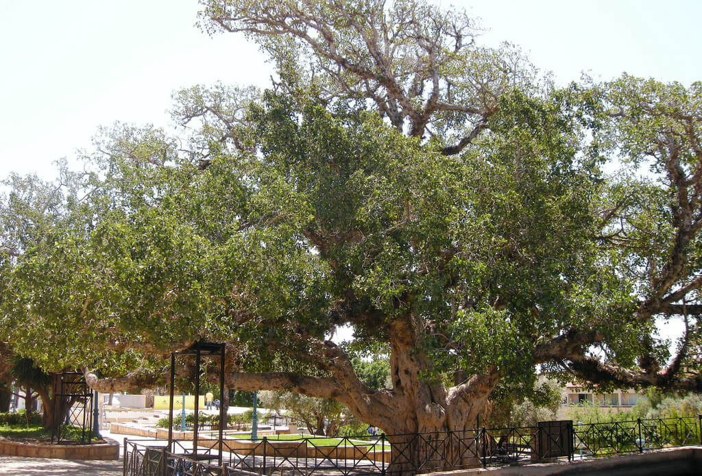 Ayia Napa Monastery 1