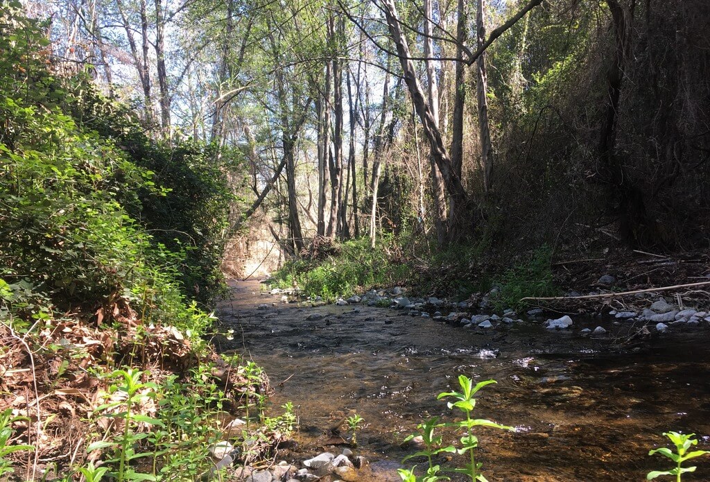 Dierona Amathos River